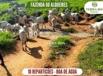 b9ecb31a9a1d9456603009c5ef74bd38c447f9de · Fazenda 60 Alqueires - Toda Formada