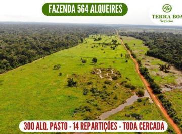 f36e4f56d73277ced88245fd6b9ca35b65b36080 · Fazenda 564 Alqueires - 300 Alqueires em Pasto - Candeias do Jamari/RO