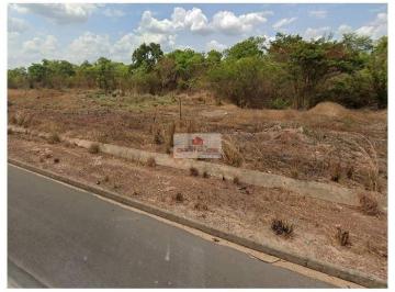 e296501a1423c9a879d60695a5effca0.jpg · Terreno com 1,5 hectares (50x300), BR-226 - bairro Jóia, Timon-MA