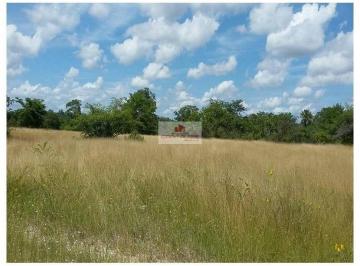 69d2bd66d04c009fe9e1e3e6dbfcc4bb.jpg · Fazenda com 7000 hectares, com 1 Fazenda com 3700 hectares, outra de 2900 hectares.