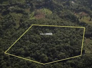 Rural · 3ha · Sítio na melhor região rural de Igrejinha