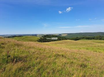 Rural · 15ha · Sítio em São Francisco de Paula próximo do centro da cidade