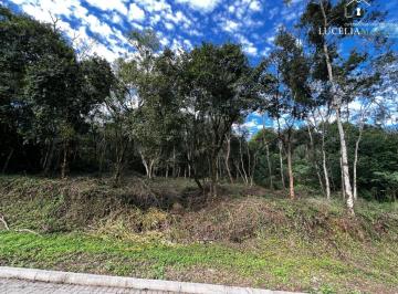 Foto 01 · Terreno, Canto Krewer, Vale Real, RS