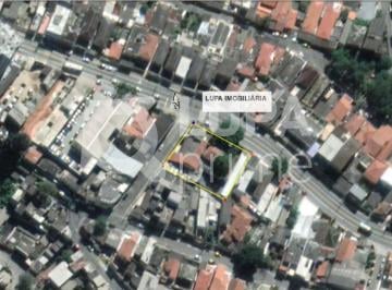 Terreno · 1362m² · Terreno à venda - Vila Souza- 1362 m²