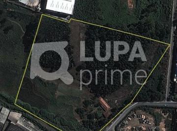 Terreno · 16000m² · TERRENO - BONSUCESSO GUARULHOS