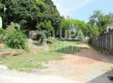 Terreno · 3532m² · TERRENO COM 3531,83 M² A VENDA NO MANDAQUI