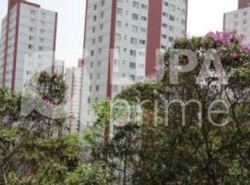Apartamento · 51m² · 2 Quartos · 1 Vaga · APARTAMENTO - PEDRA BRANCA