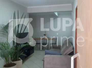 Casa · 305m² · 6 Quartos · Sobrado com 4 casas á venda no Tucuruvi!