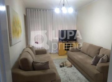 Casa · 218m² · 7 Quartos · 4 Vagas · Sobrado a venda na Vila Amélia com 4 dormitórios e 4 vagas de garagem.