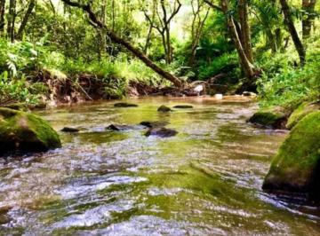 Terreno , Joanópolis · Terreno com riacho em Joanópolis SP