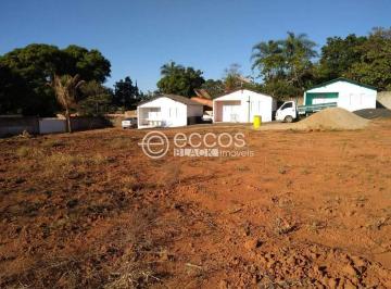 Rural · 3200m² · 3 Quartos · 5 Vagas · Chácara para aluguel, 3 quartos, 3 suítes, 5 vagas, ÁREA RURAL DE ARAGUARI - ARAGUARI/MG