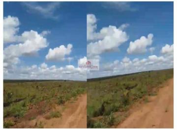 81096b1445ffa9fa732a4bb1b4aa97ef.jpg · Fazenda com 4066 hectares, plana, com 2100 hectares abertos