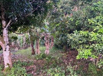 Foto 01 · Terreno à venda em Uruçuca-BA, bairro Serra Grande - 600,00 m² de área!