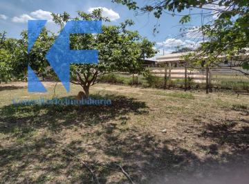 Foto 01 · Chacara, Área Rural de Engenheiro Coelho, Engenheiro Coelho, SP