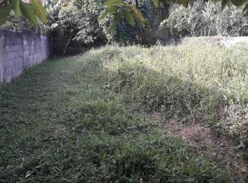 Terreno , Matias Barbosa · Cidade Matias Barbosa: Ótimo terreno totalmente plano 300 m² em rua plana