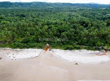 202409091538429351.JPG · Terreno na praia de Luzimares