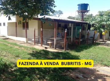 Foto 02 · Fazenda à Venda em Buritis, MG: 100 Hectares com Casa Sede, Água Farta e Infraestrutura Completa par