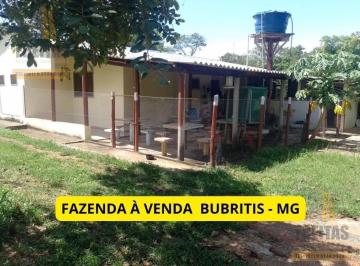 Foto 02 · Fazenda à Venda em Buritis, MG: 100 Hectares com Casa Sede, Água Farta e Infraestrutura Completa par