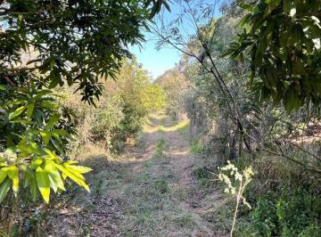 Terreno , Limeira · Área 49.800m² Frente Para Rodovia Deputado Laércio Corte, Limeira/Piracicaba.
