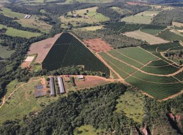 Foto 01 · FAZENDA CAFEEIRA COM GRANJA DE SUÍNOS EM PATROCÍNIO/MG