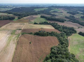Foto 01 · Área/ Terreno - Campo Alegre