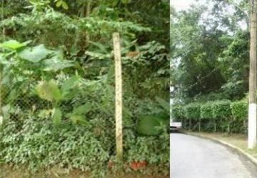 Terreno · Terreno à Venda com 6.500 m² - Bairro Barra Funda - Guarujá