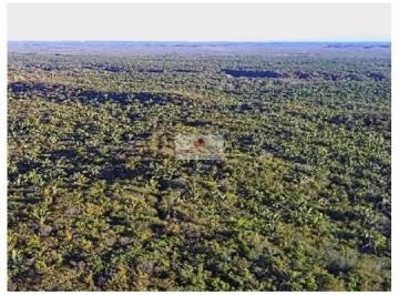 29906971d3646de6ad4f7506d1c4ee1a.jpg · Fazenda com 1.280 hectares, dupla aptidão, terra bruta, 75% plana, riacho