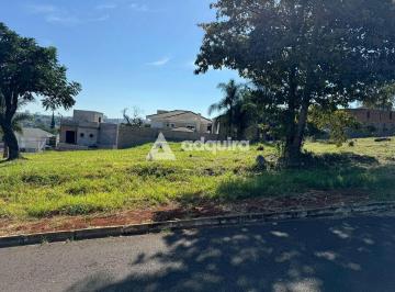 whatsapp-image-2024-05-10-at-16-26-021715631055158.jpeg · Terreno à venda, Estrela, Ponta Grossa, PR