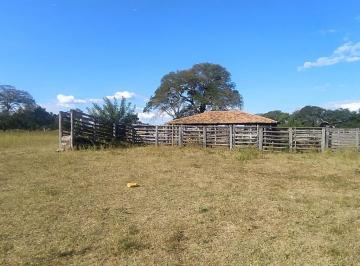 Rural , Santa Fé de Minas · Fazenda  1.124 ha em Santa Fé de Minas/MG