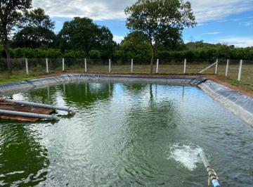Rural , Januária · Fazenda localizada em Januária/MG