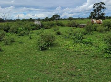 Rural , Buritizeiro · Fazenda 1370 hectares em Buritizeiro/MG