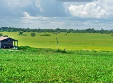 20240517141400817172.jpg · Fazenda para Venda em Manga, Zona Rural