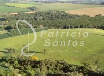 Foto 02 · Haras de Luxo à Venda em Morungaba-SP: 6 Quartos, 4 Suítes, 30 Vagas e 6 Alqueires de Área