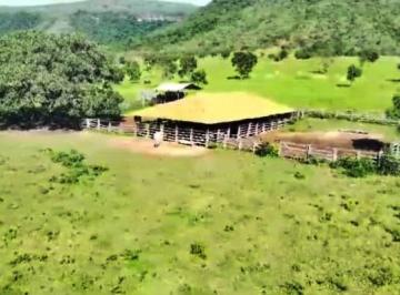 20240517184858598688.jpg · Fazenda para Venda em Arinos, Zona Rural