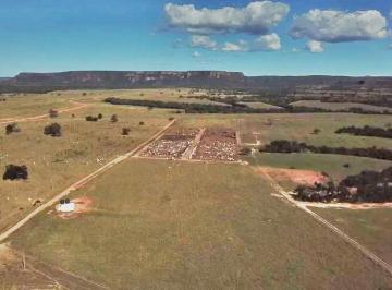 20240517192619475110.jpg · Fazenda para Venda em Tesouro, Zona Rural