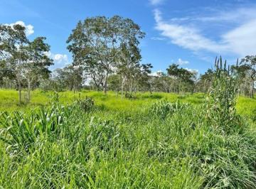 20240518084634897786.jpg · Fazenda para Venda em Brasilândia de Minas, Zona Rural