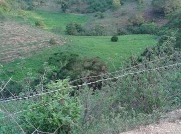 Rural · 295m² · Ótima Fazenda de 295 ha com Ótima estrutura para pecuária