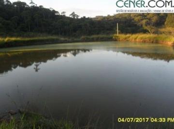 Rural · 35m² · Excelente Fazendinha de 35 ha com muita Água e Ótima Localização