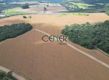 Rural · 373ha · Extraordinária fazenda de 374 ha para lavoura e leite. P. fechada