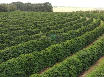 Rural · 1040m² · Fazenda de 1040 Hectares em Araxá, MG - Café, Soja e Pecuária, Rica em Água e Ótima Logística
