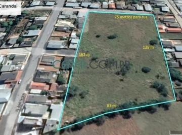 Terreno · 10918m² · Gleba Urbana de 10.918 M² em Ótima Localização em Carandaí MG - Oportunidade