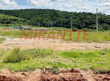 d192cf17b7134d0de9cb1eb0714aae77.jpg · Terreno