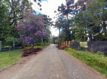 773588.jpg · Terreno - Bairro Vila Suzana