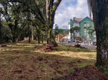 620720.jpg · Terreno - Bairro São Luiz