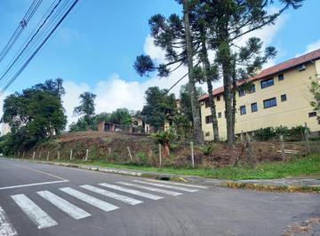 683601.jpg · Terreno - Bairro Vila Maggi