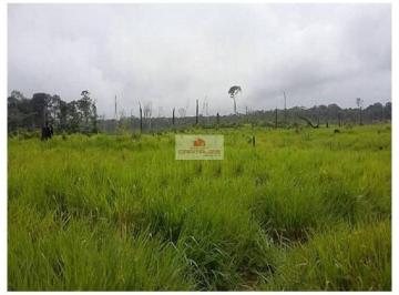 b98520aa4b398066a000eb708f9fac73.jpg · Fazenda com 778 hectares, dupla aptidão, terra bruta (60% já foi desmatada), mais de 1000 metros de