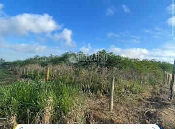Foto 01 · Area, Bebedouro, Linhares, ES