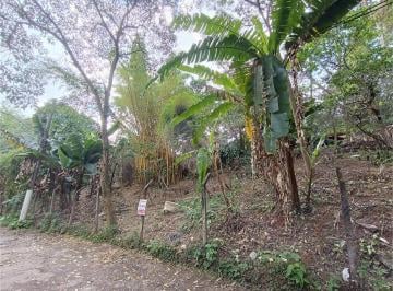 Área de Serviço · Imoveis - no Vila Amélia