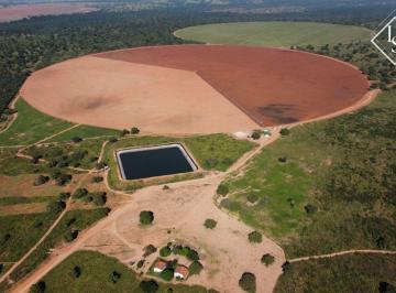 Rural · 1254m² · EXCELENTE FAZENDA DE 1.254 HA COM PIVÔ NAS MARGENS DO SÃO FRANCISCO