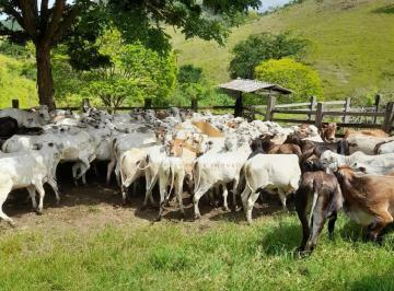 Foto 01 · Fazenda, Belmonte, Belmonte, BA